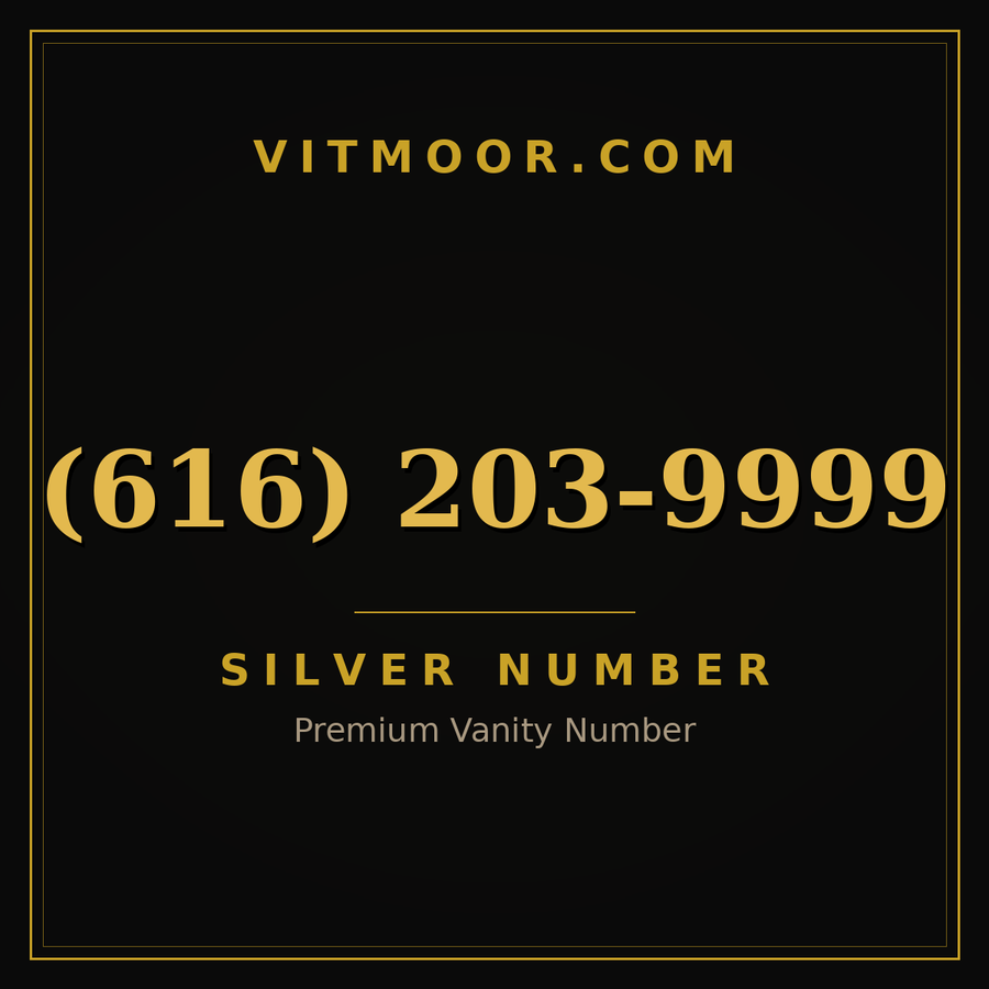VITMOOR Silver premium number (616) 203-9999