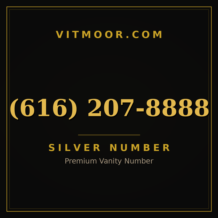 VITMOOR Silver premium number (616) 207-8888