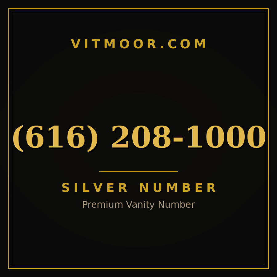 VITMOOR Silver premium number (616) 208-1000