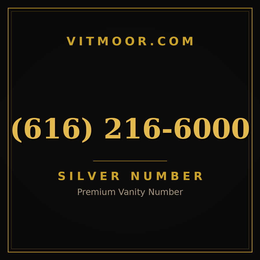 VITMOOR Silver premium number (616) 216-6000
