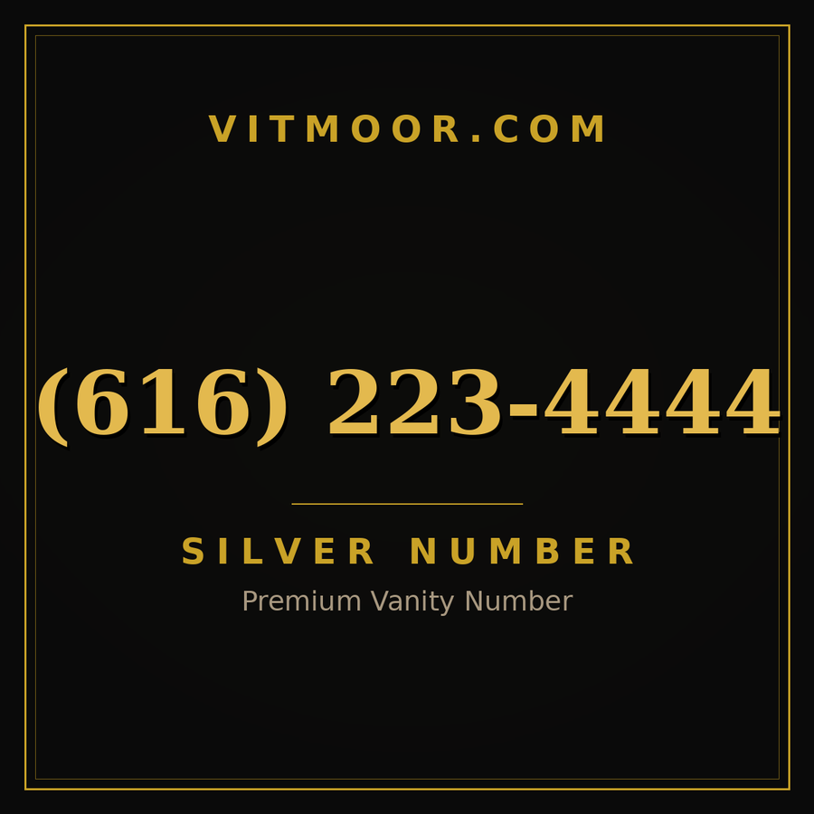 VITMOOR Silver premium number (616) 223-4444