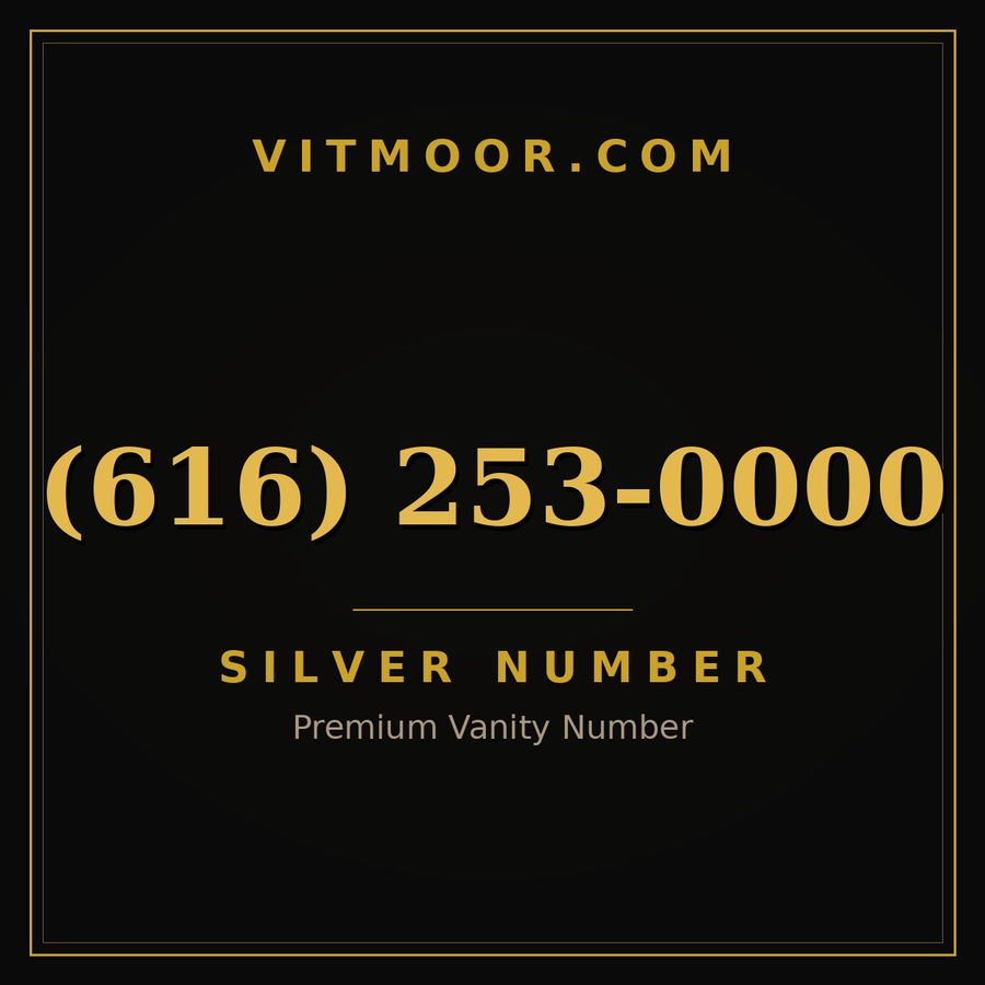 VITMOOR Silver premium number (616) 253-0000
