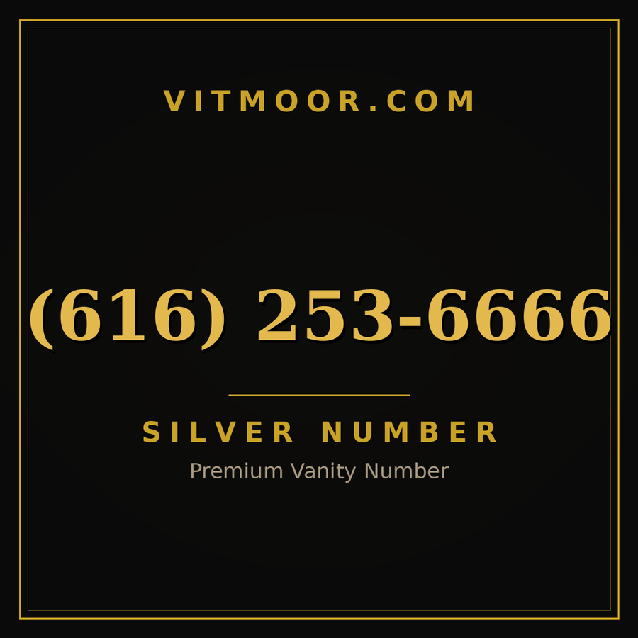 VITMOOR Silver premium number (616) 253-6666