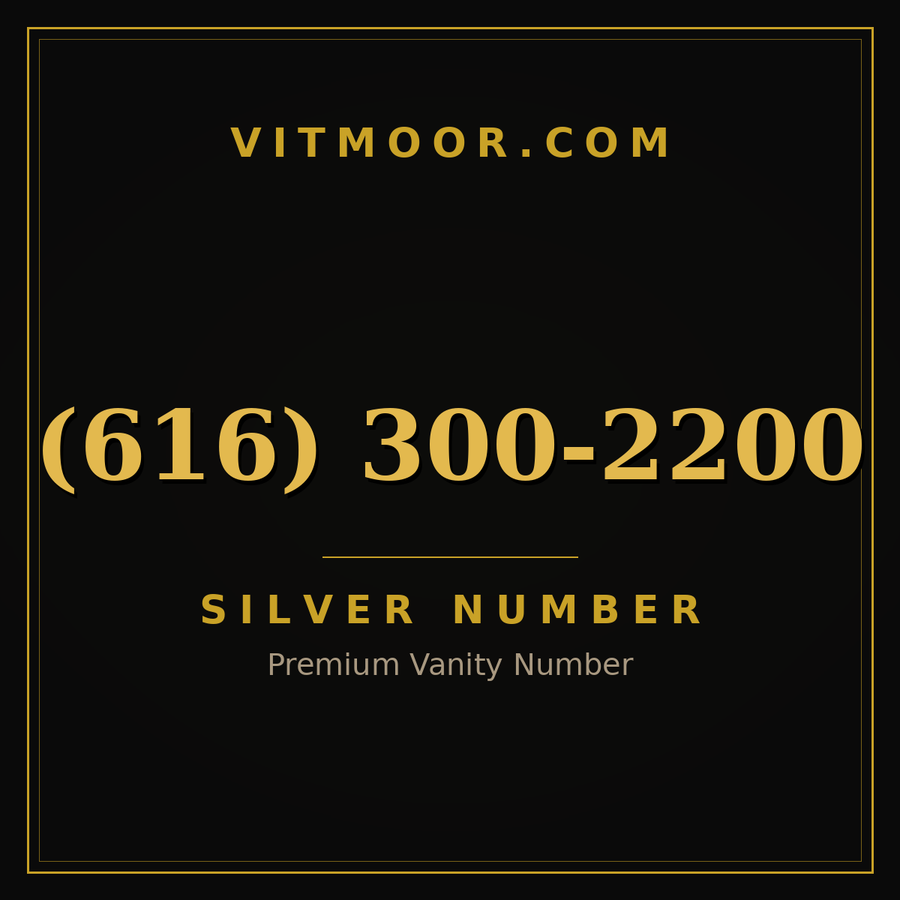 VITMOOR Silver premium number (616) 300-2200