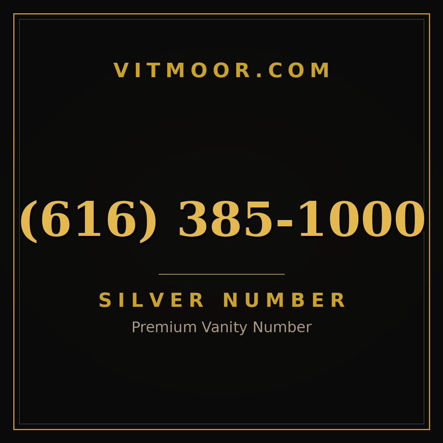 VITMOOR Silver premium number (616) 385-1000