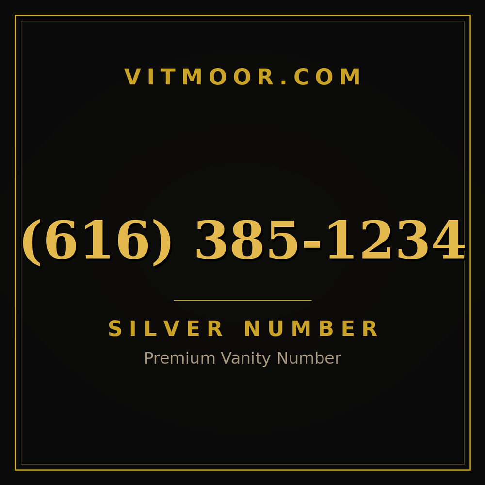 616 385-1234