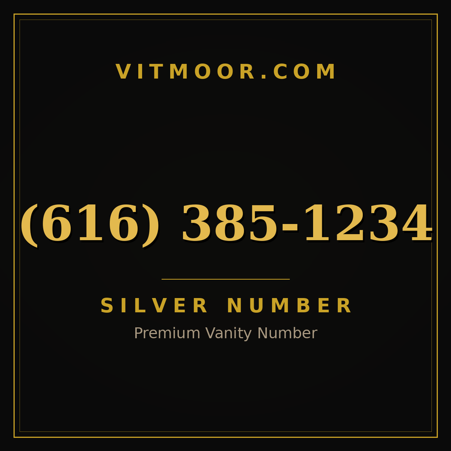 VITMOOR Silver premium number (616) 385-1234
