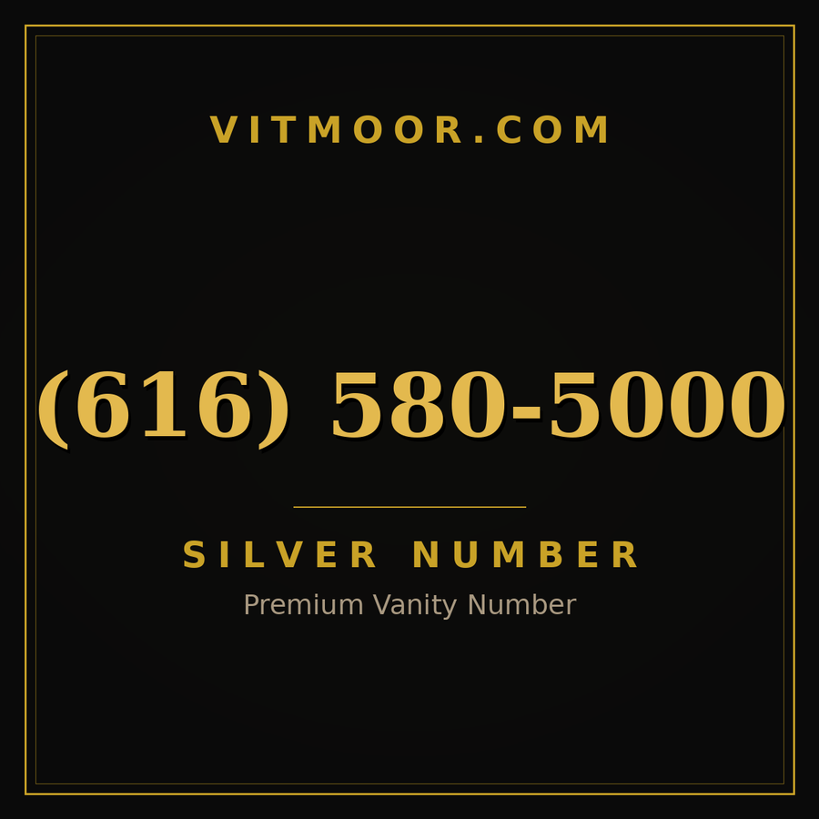 VITMOOR Silver premium number (616) 580-5000