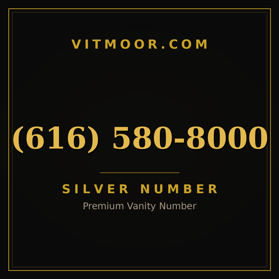 VITMOOR Silver premium number (616) 580-8000