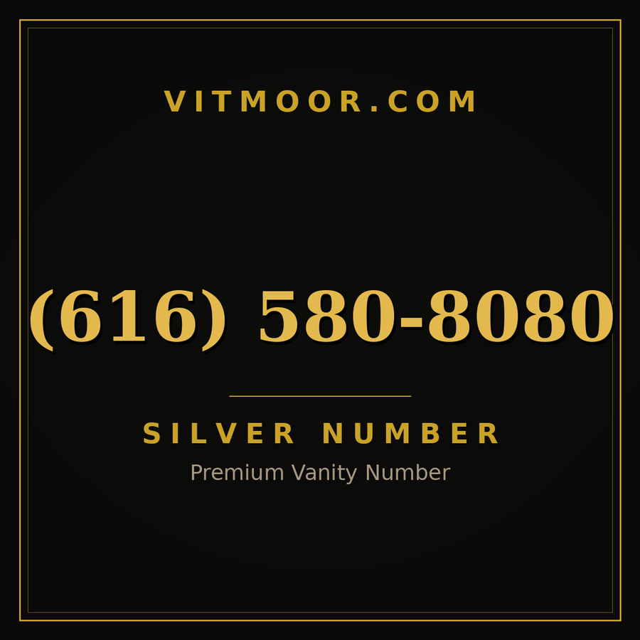 VITMOOR Silver premium number (616) 580-8080