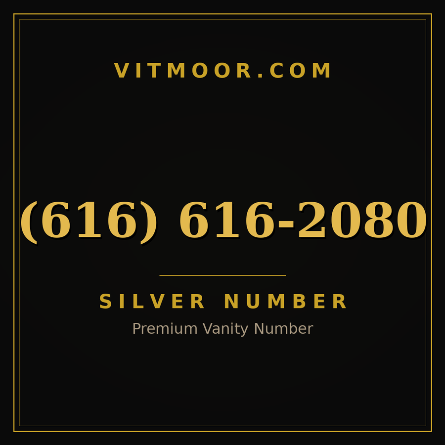 VITMOOR Silver premium number (616) 616-2080