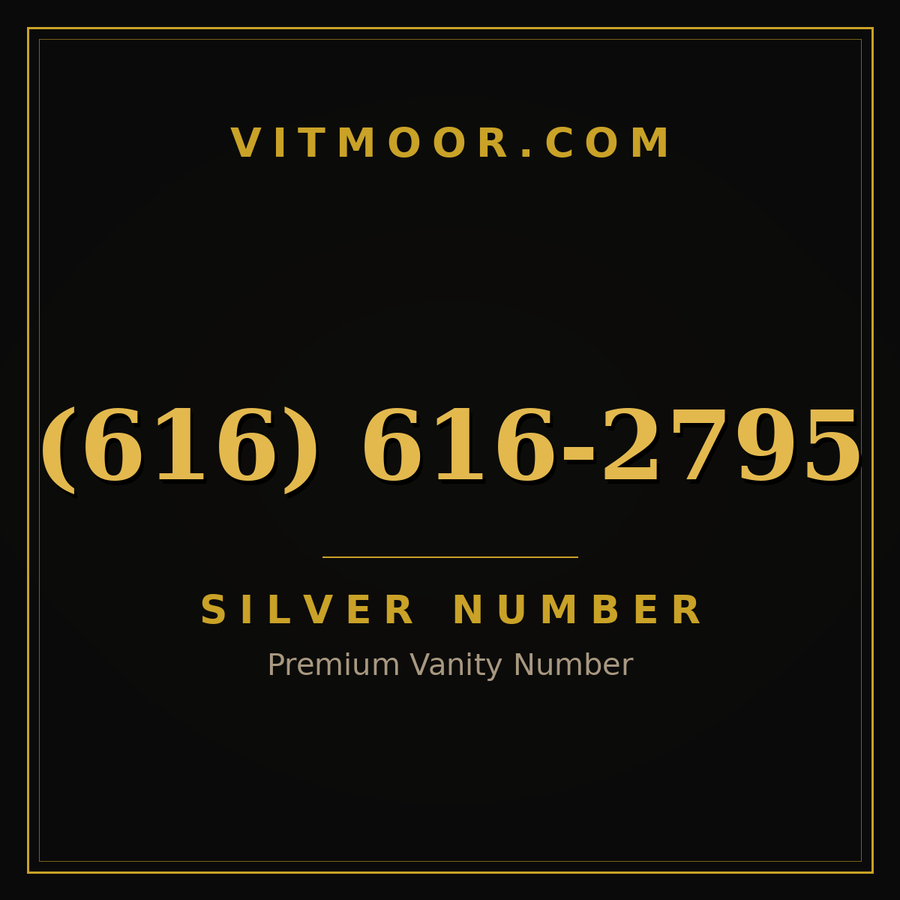VITMOOR Silver premium number (616) 616-2795