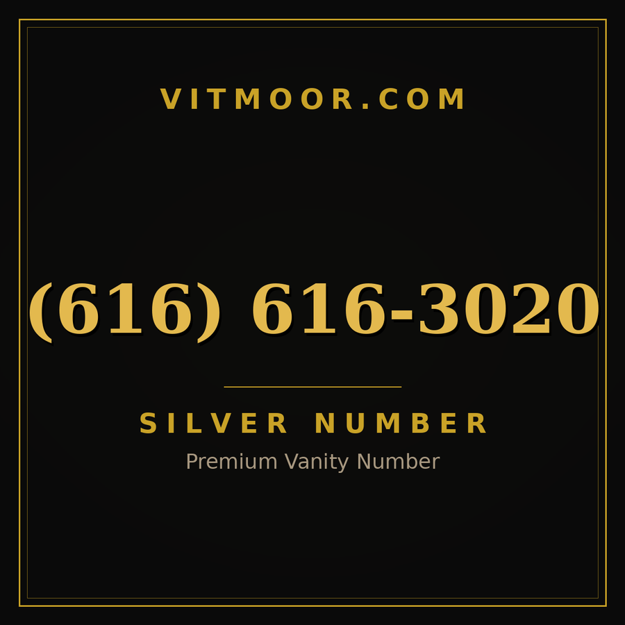 VITMOOR Silver premium number (616) 616-3020