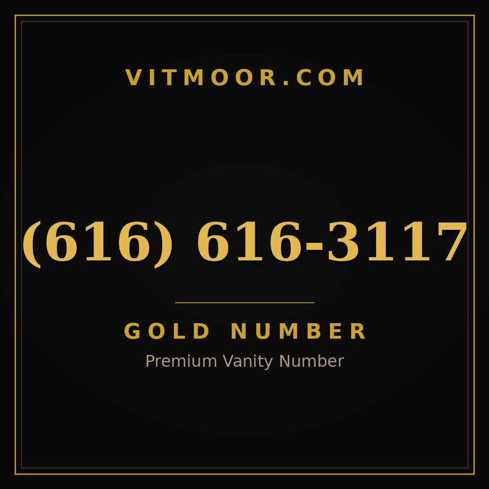 616 616-3117