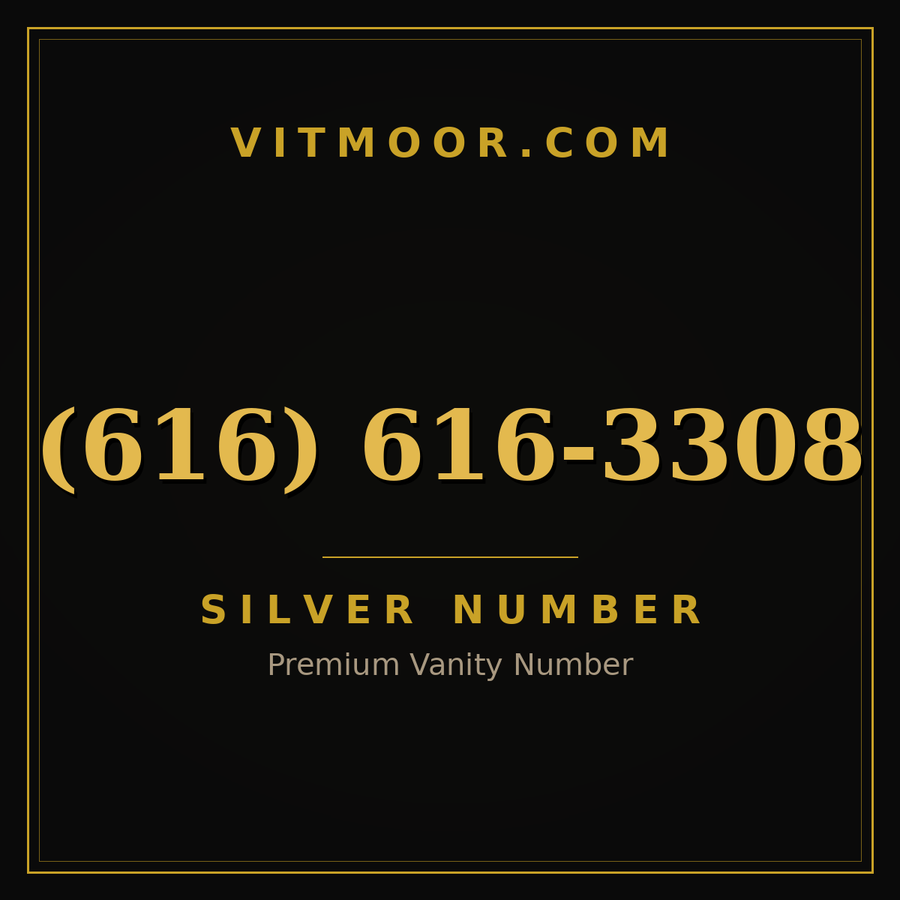 VITMOOR Silver premium number (616) 616-3308