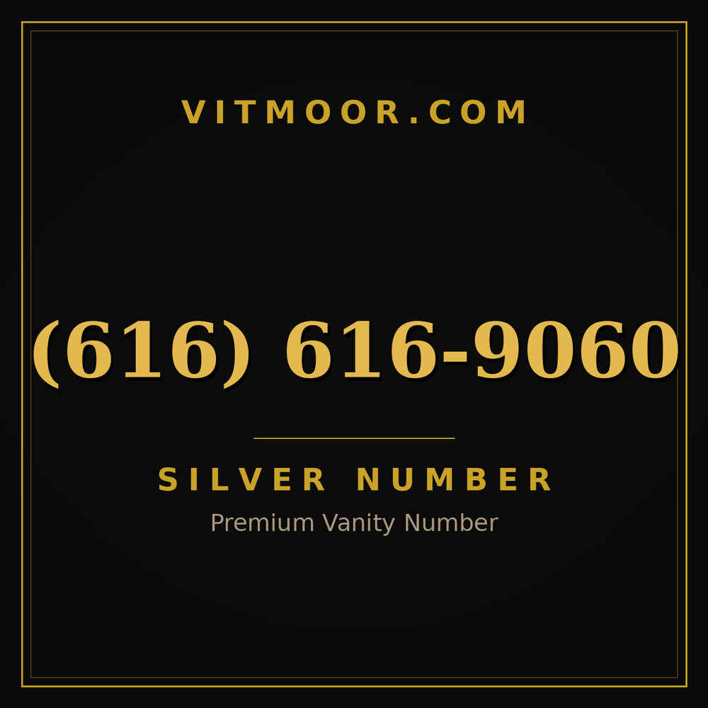 616 616-9060