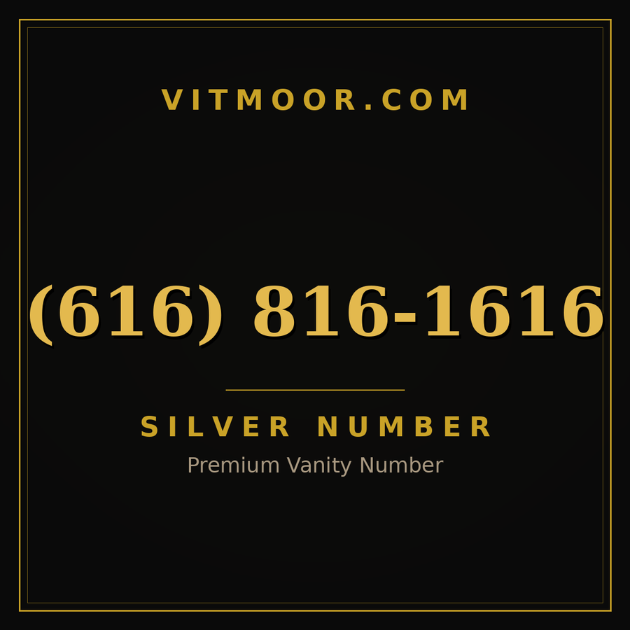 VITMOOR Silver premium number (616) 816-1616