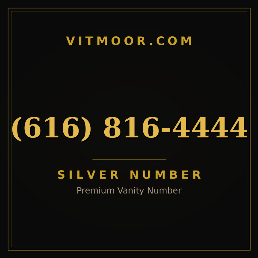 VITMOOR Silver premium number (616) 816-4444