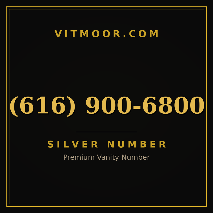 VITMOOR Silver premium number (616) 900-6800