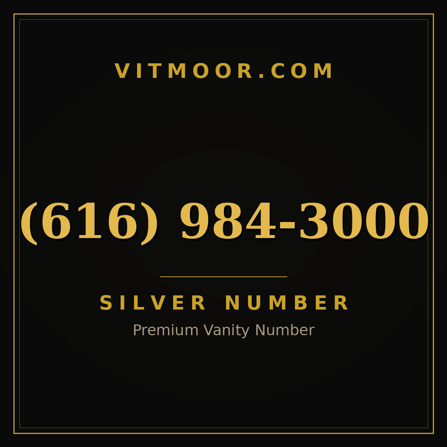 VITMOOR Silver premium number (616) 984-3000