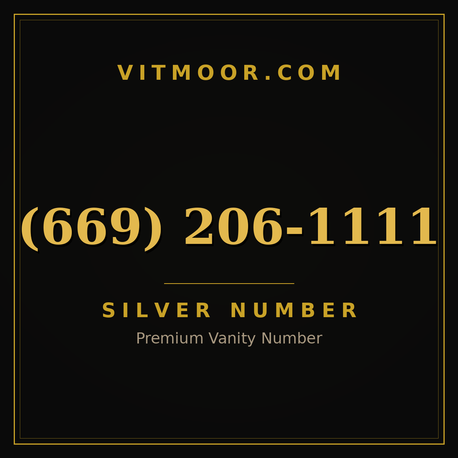 VITMOOR Silver premium number (669) 206-1111