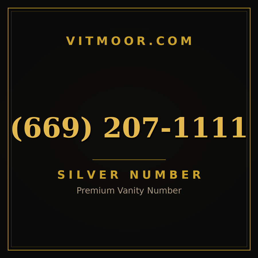 VITMOOR Silver premium number (669) 207-1111