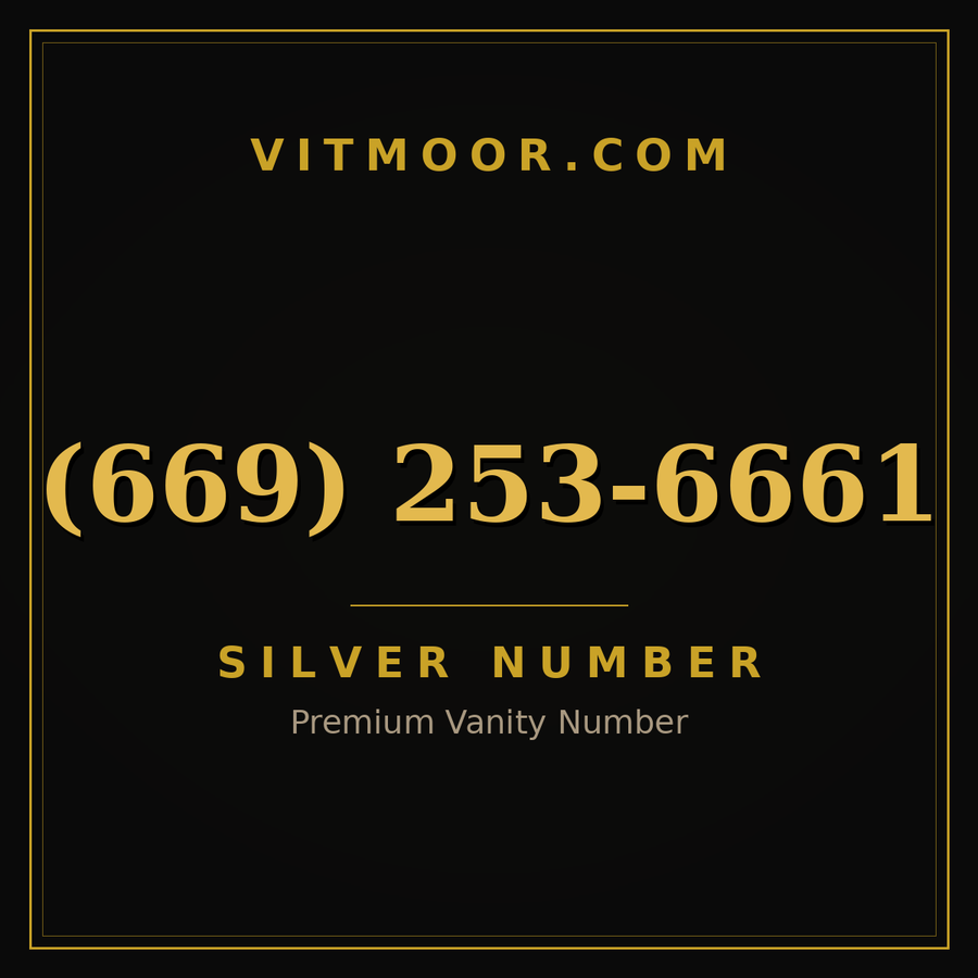 VITMOOR Silver premium number (669) 253-6661