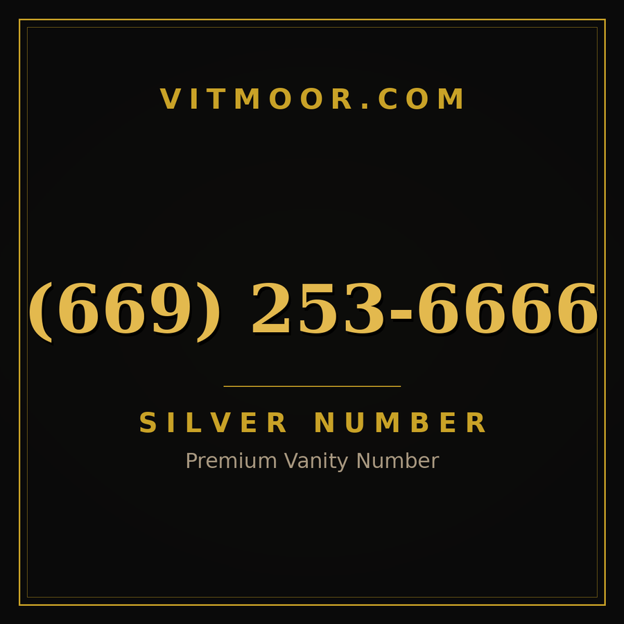 VITMOOR Silver premium number (669) 253-6666
