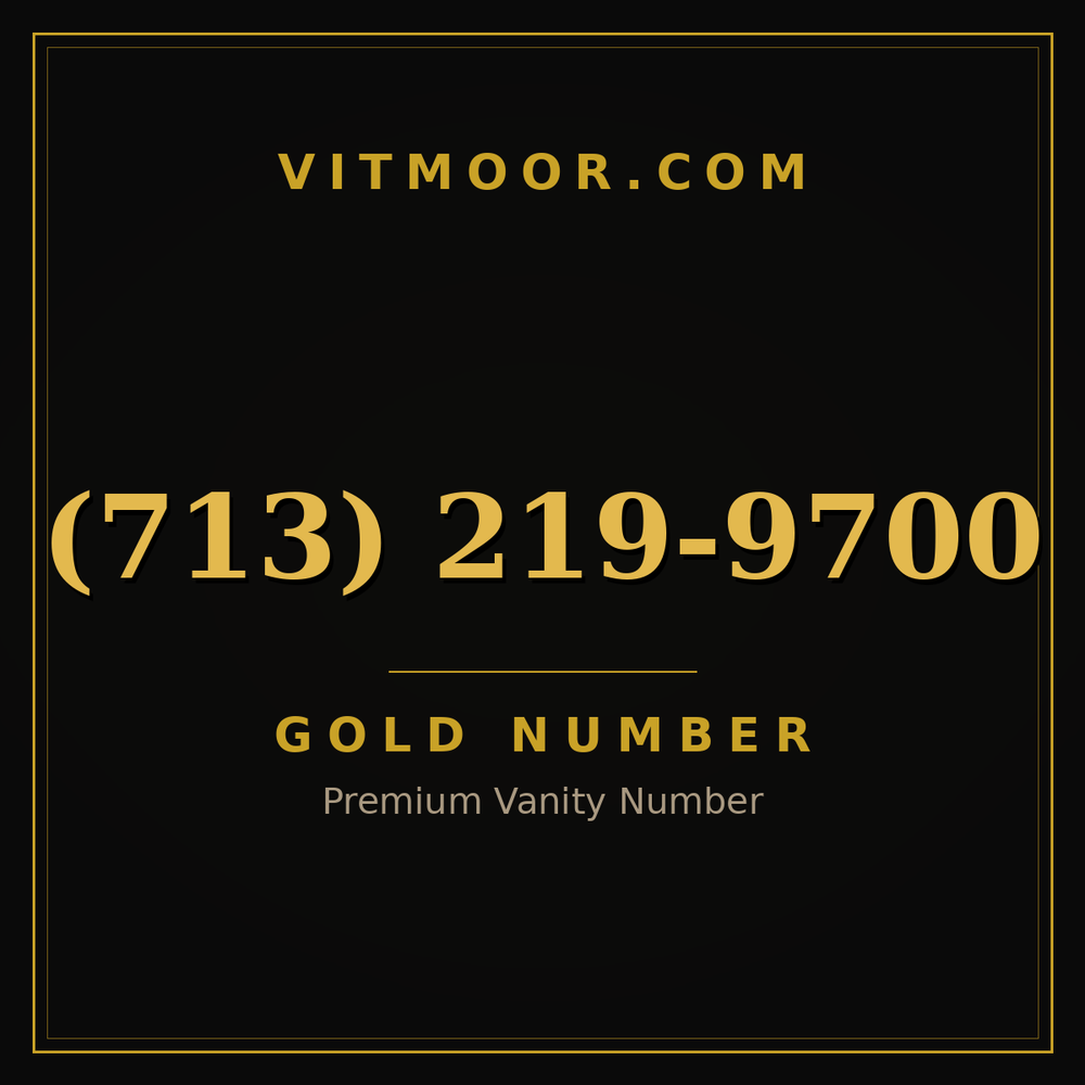 713 219-9700