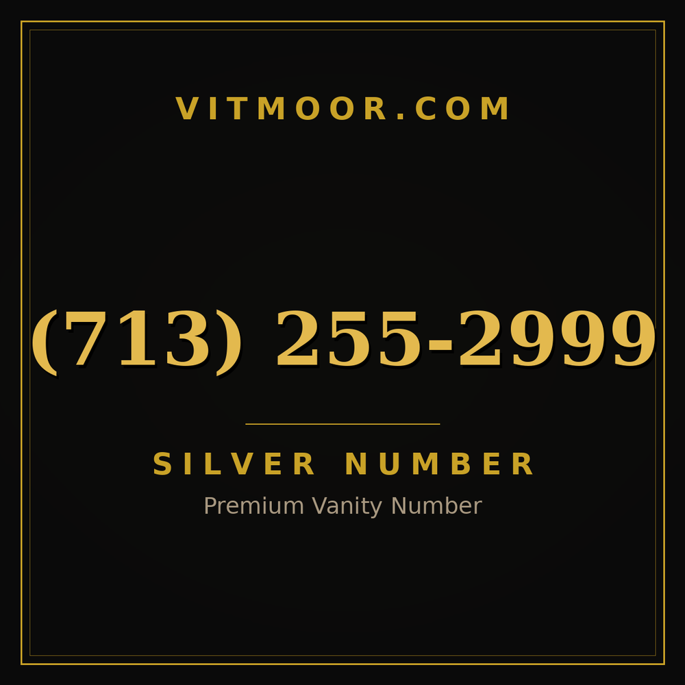 713 255-2999