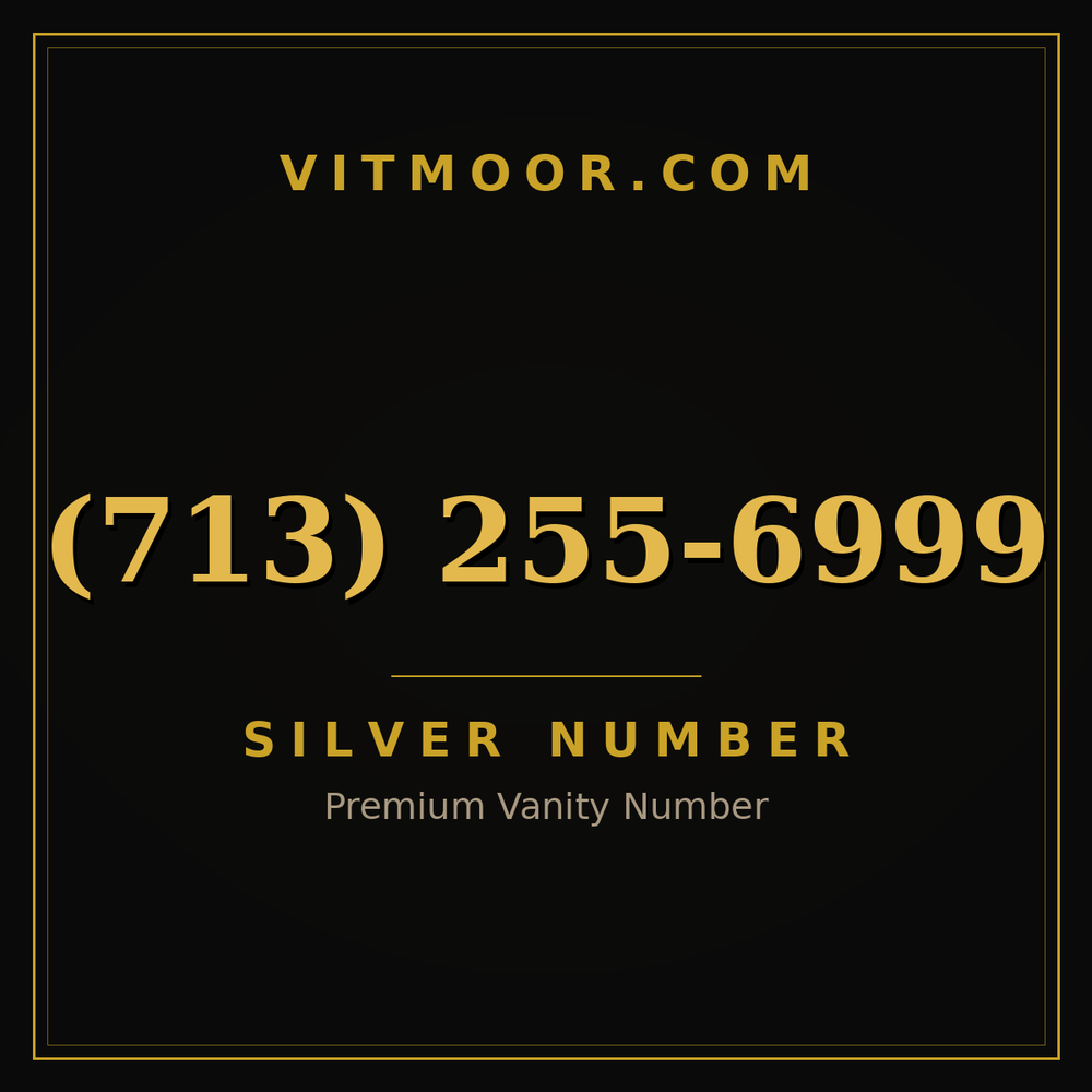 713 255-6999