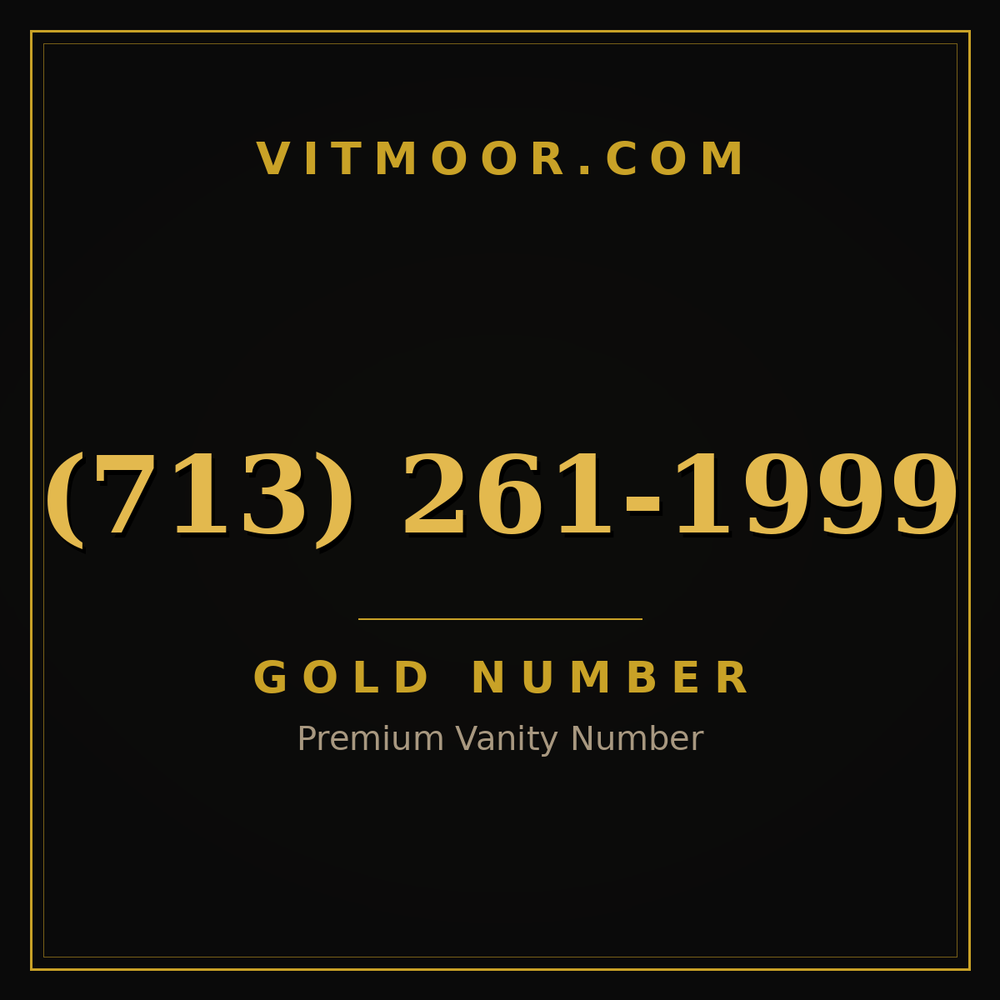 713 261-1999