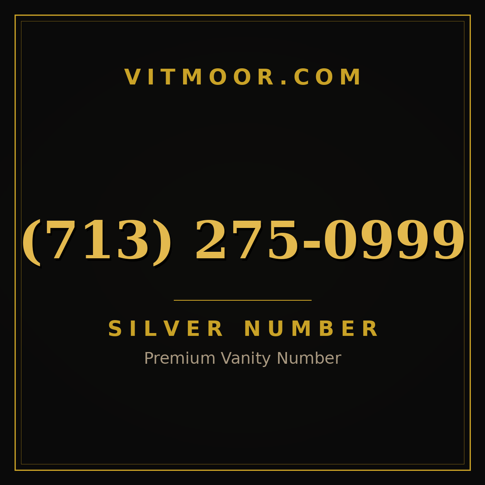 713 275-0999