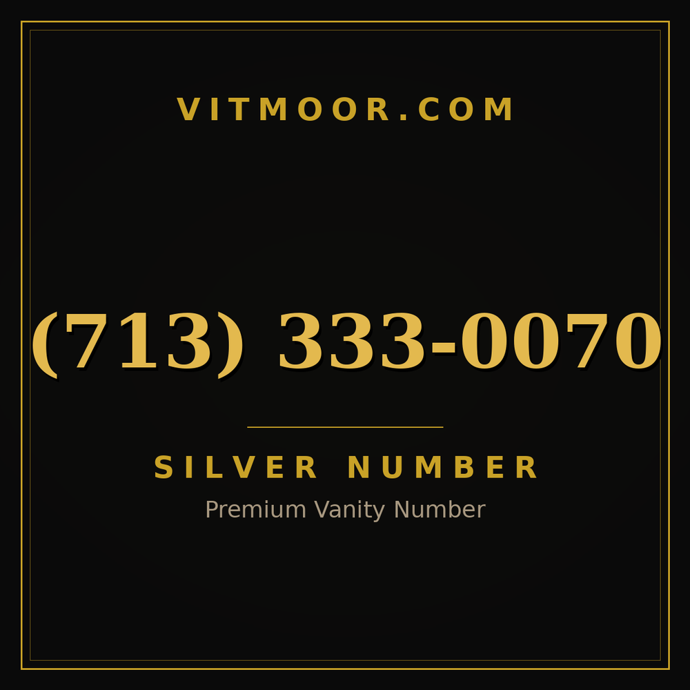 713 333-0070