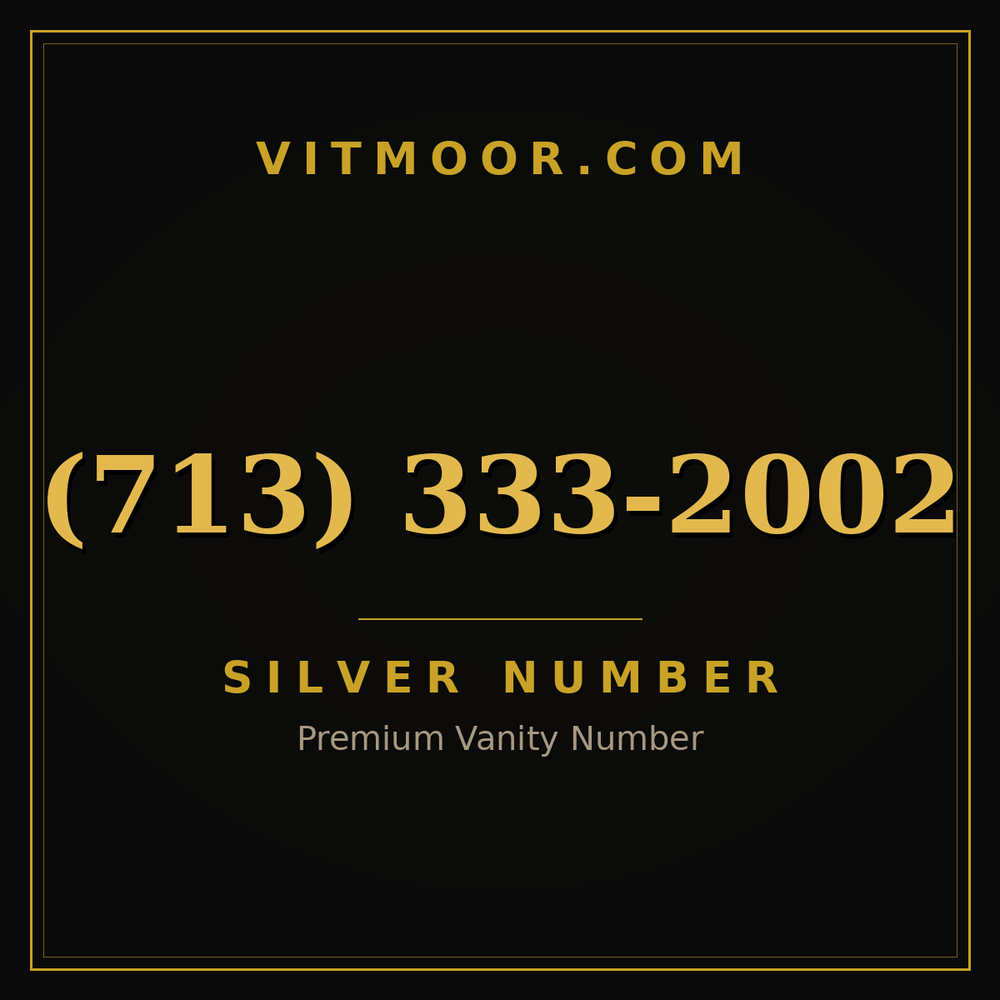713 333-2002