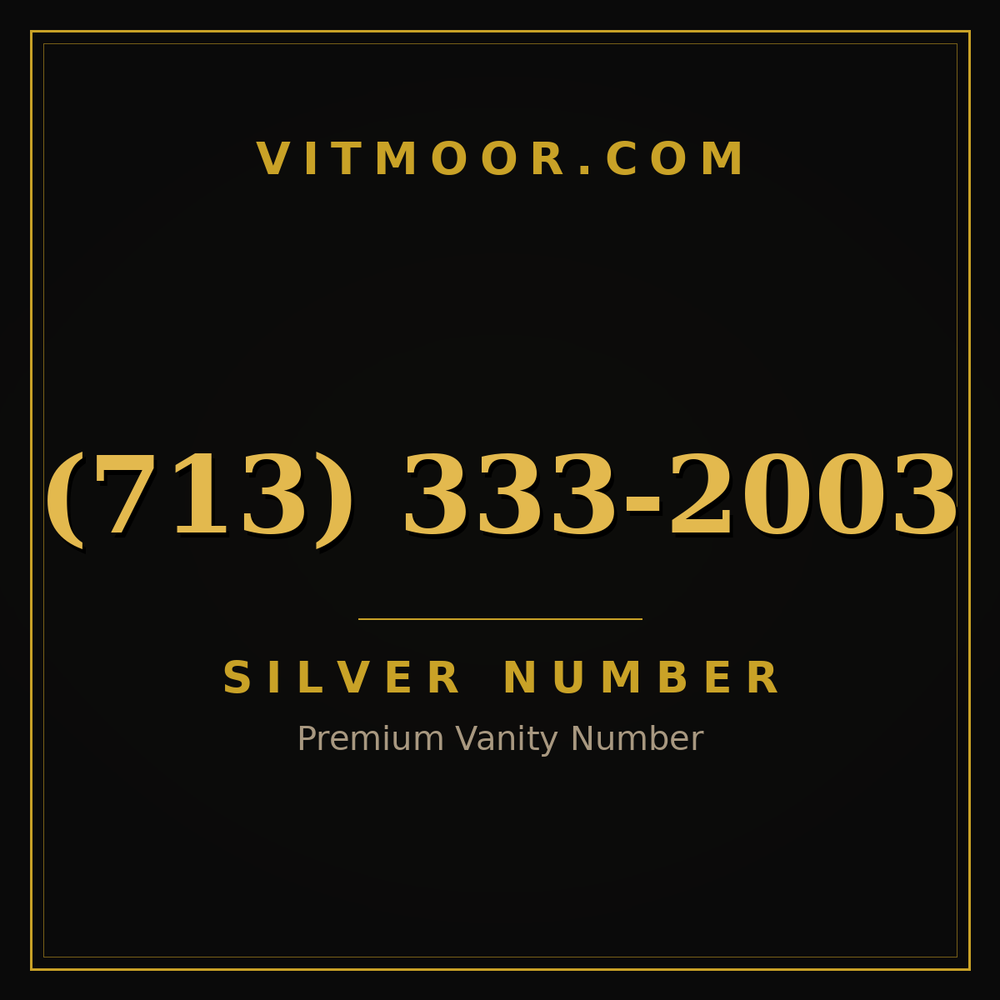 713 333-2003