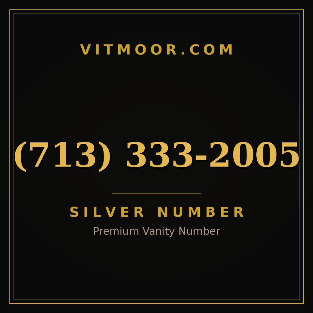713 333-2005