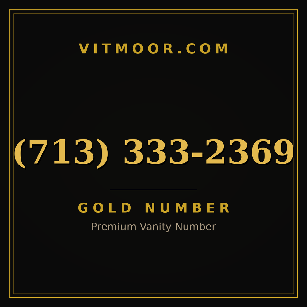 713 333-2369