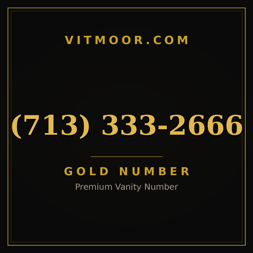 713 333-2666