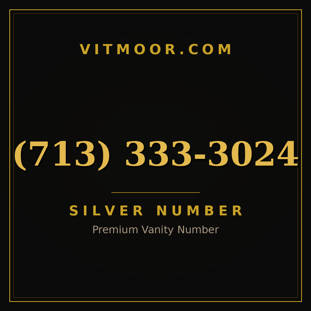 713 333-3024