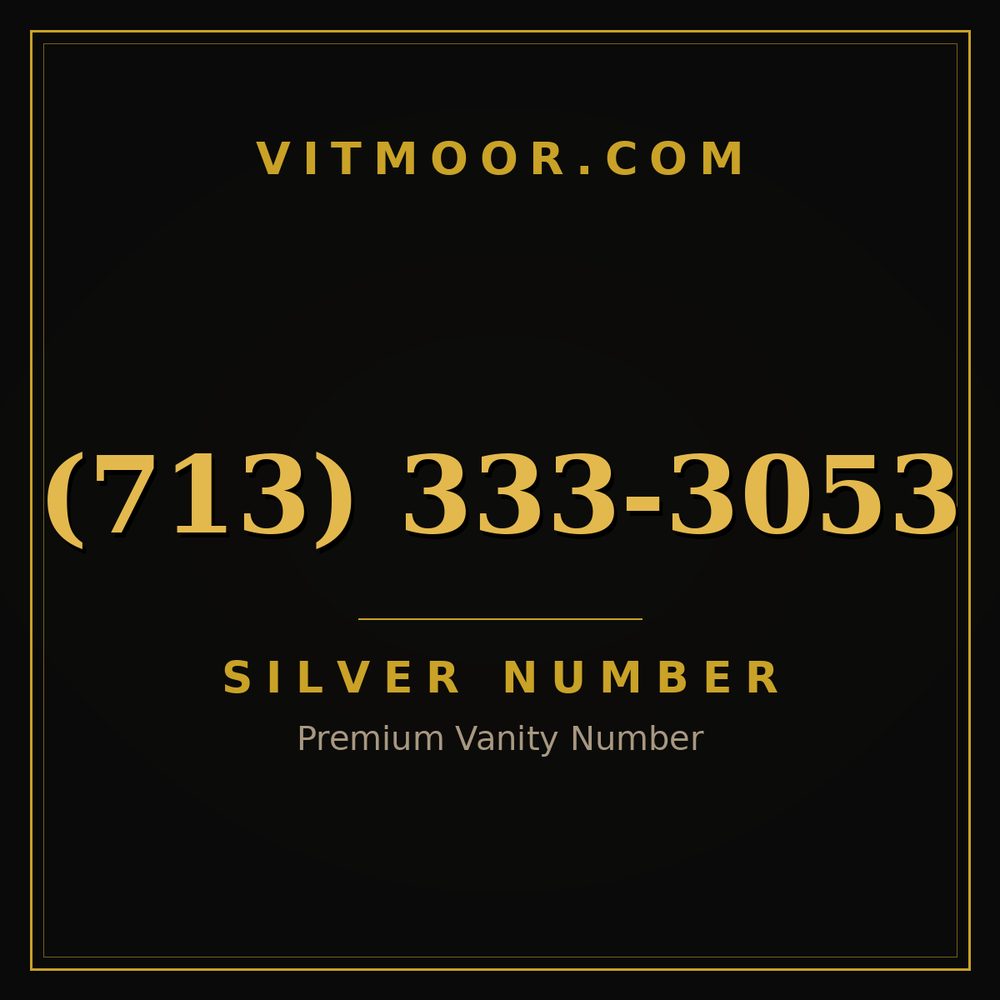 713 333-3053
