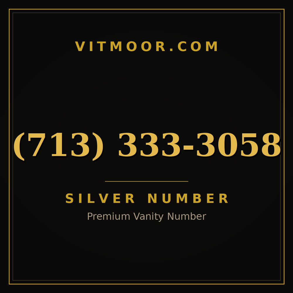 713 333-3058