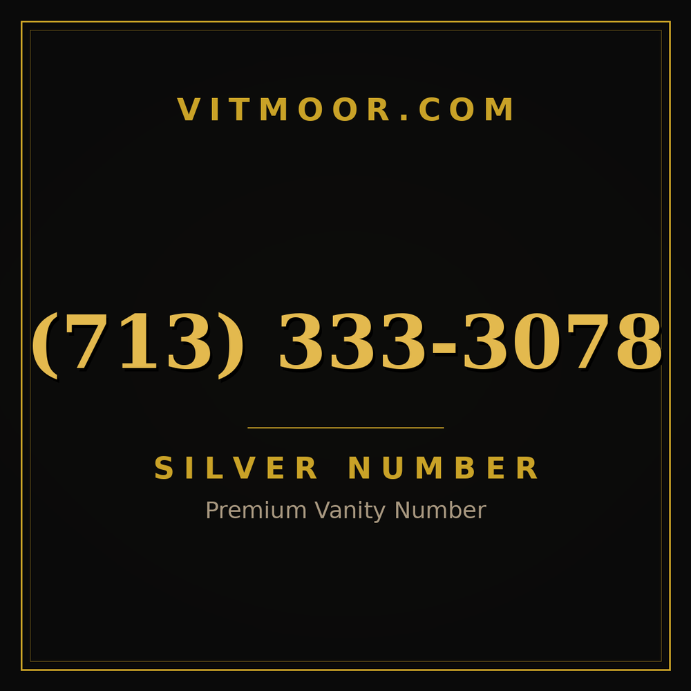 713 333-3078