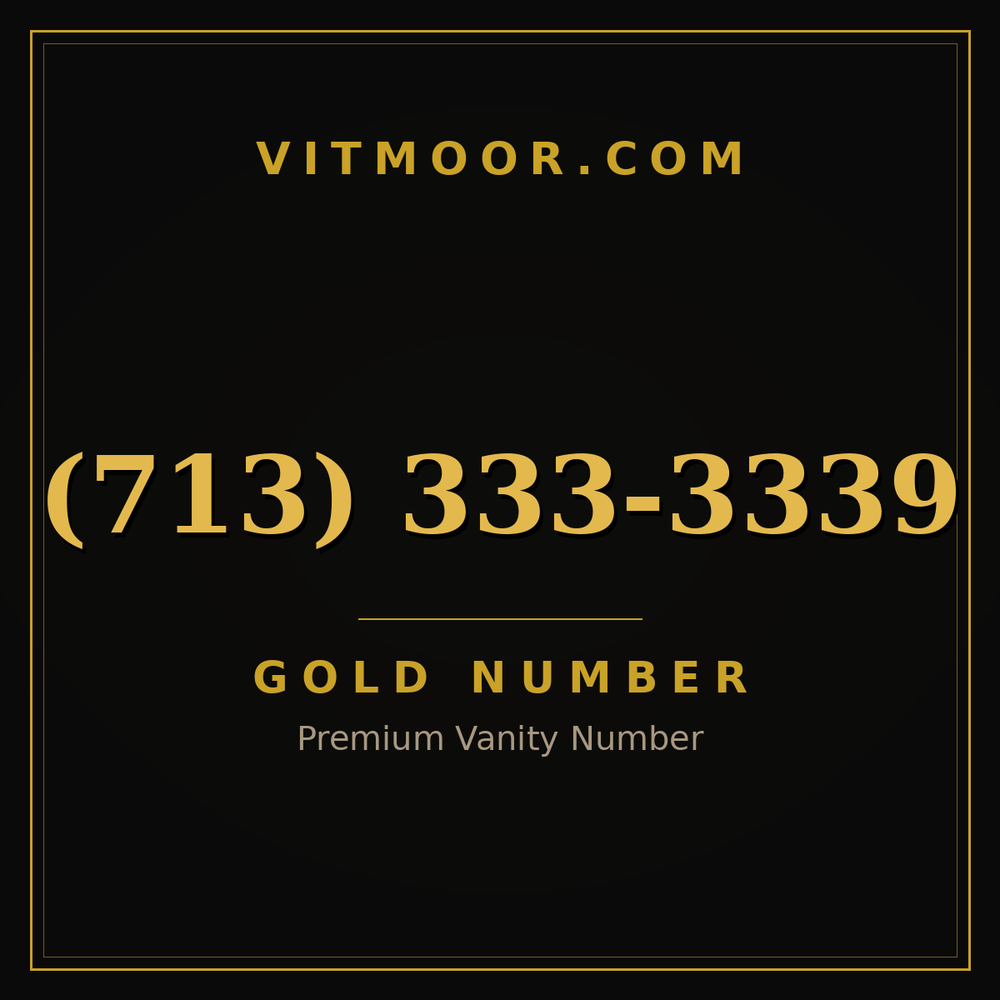 713 333-3339