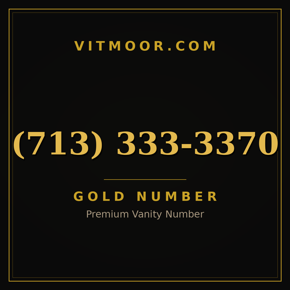 713 333-3370
