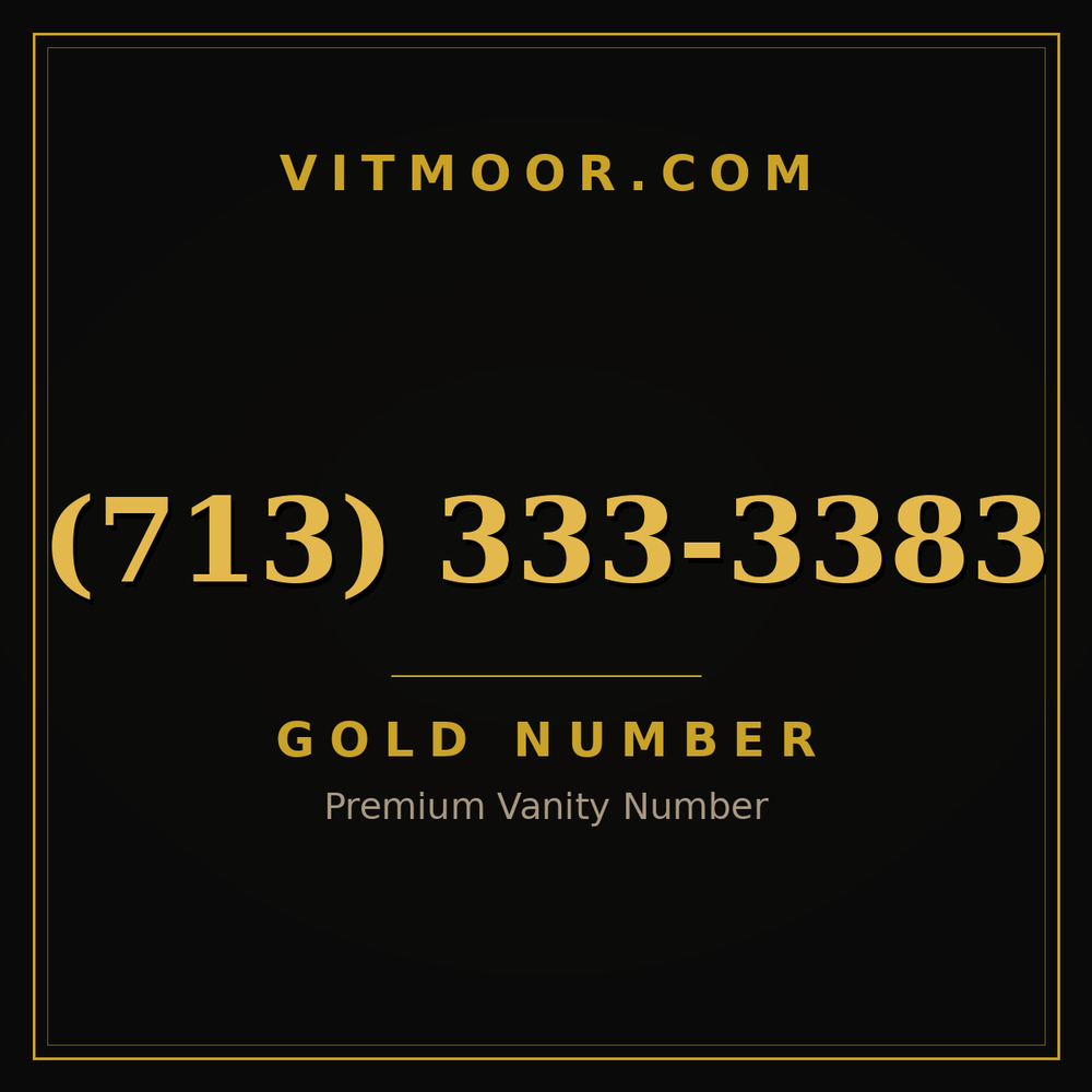 713 333-3383
