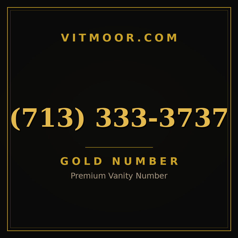 713 333-3737