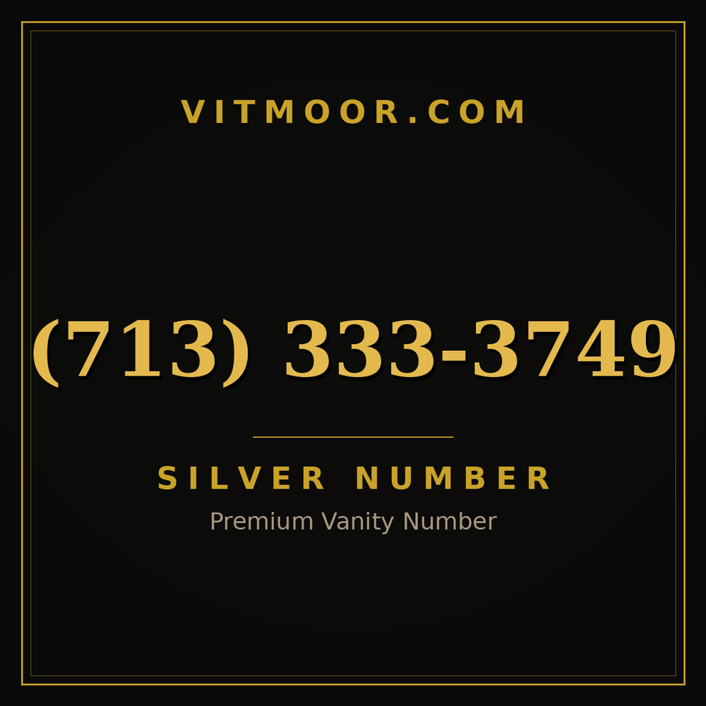 713 333-3749