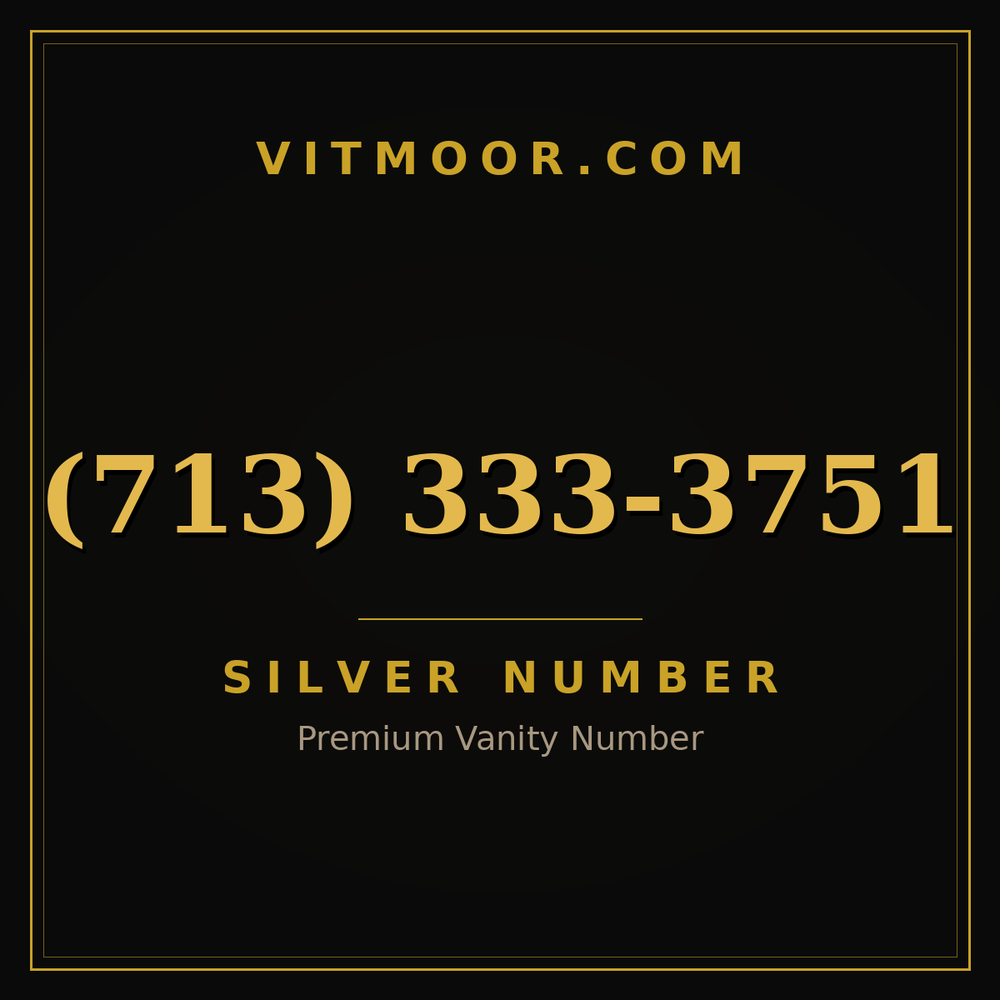 713 333-3751