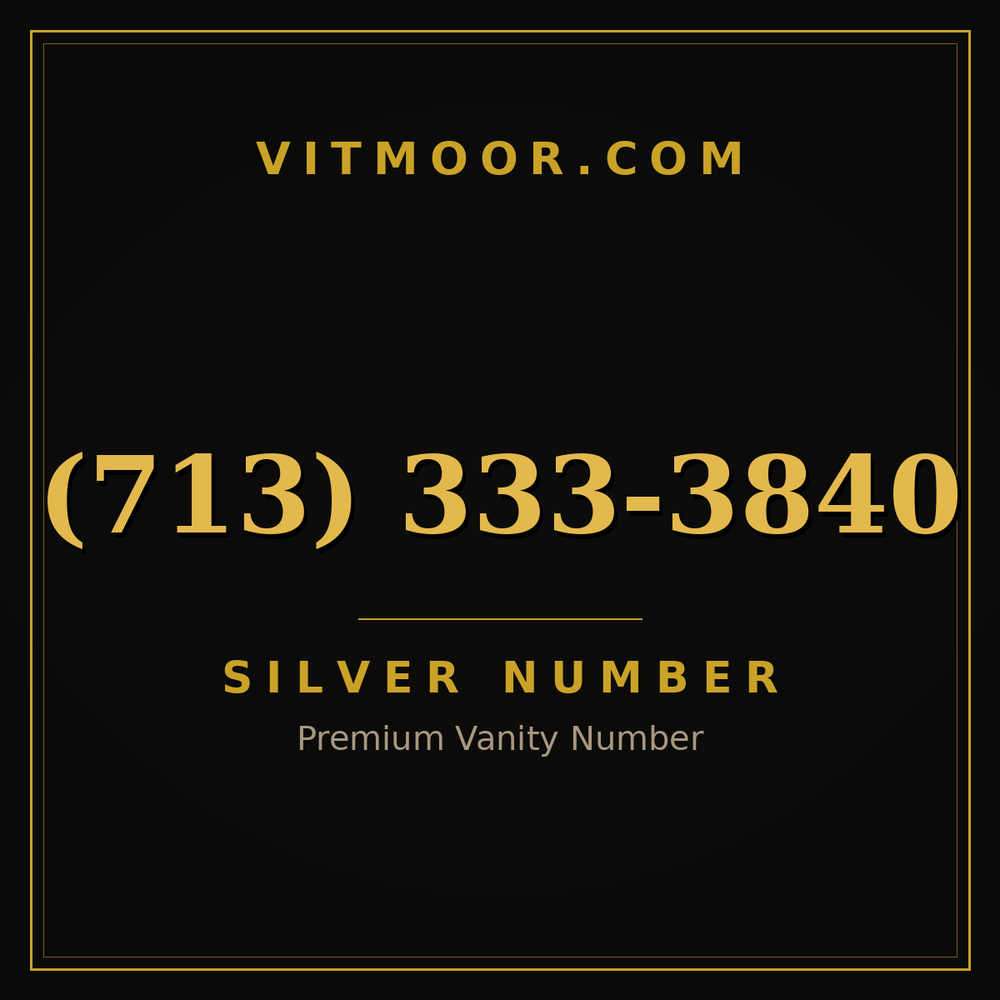 713 333-3840